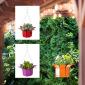 Petals Hanging Baskets for Pearhut by Detroit product photographer Don Schulte
