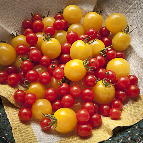 Summer Tomatoes by Detroit food photographer Don Schulte: Detroit Food photography, Product Photography, Architectural Photography by Don Schulte